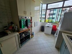 Katong Garden (D15), Condominium #468254751
